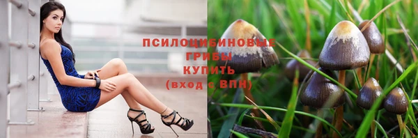 гидропоника Корсаков