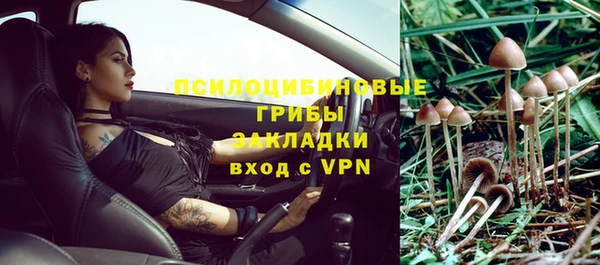 гидропоника Корсаков