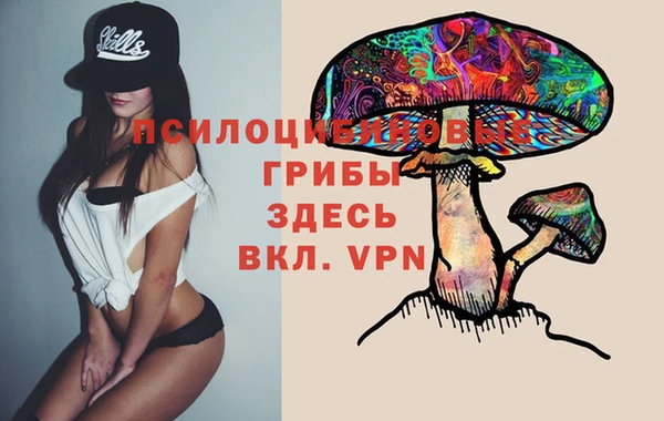 альфа пвп Новокубанск